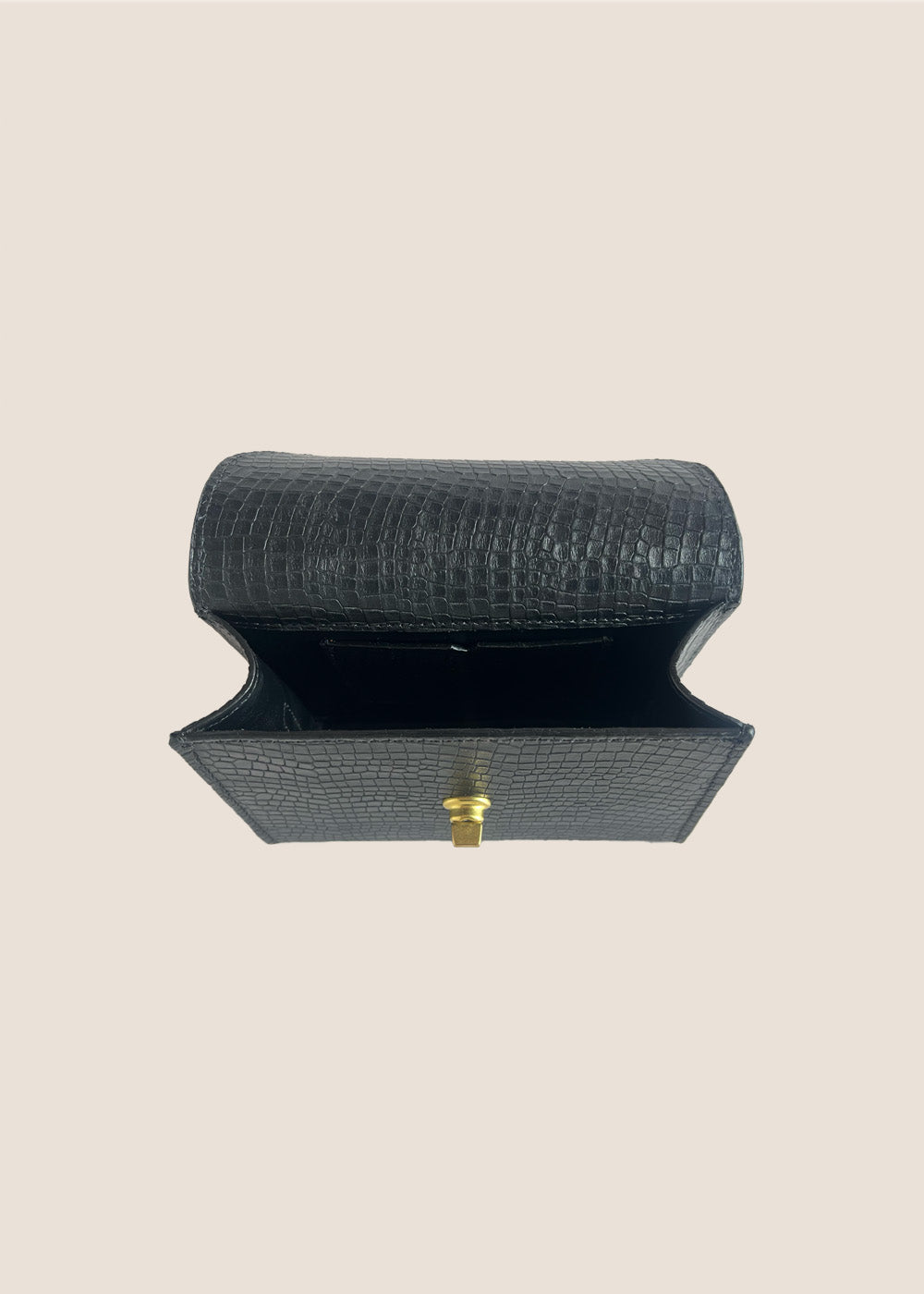 The Silvie Bag